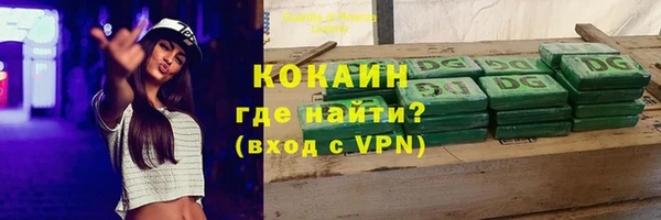 стаф Алзамай