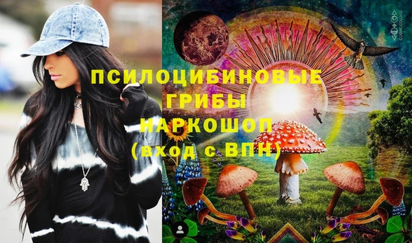 стаф Алзамай