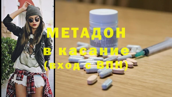 стаф Алзамай